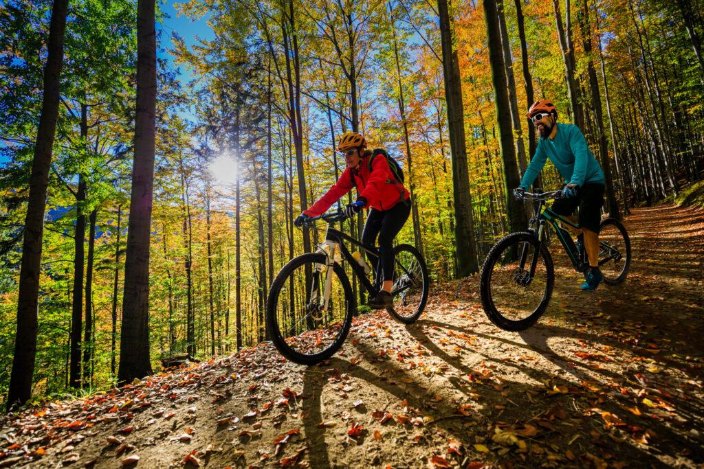 Buying Your First Mountain Bike: Beginner’s Guide