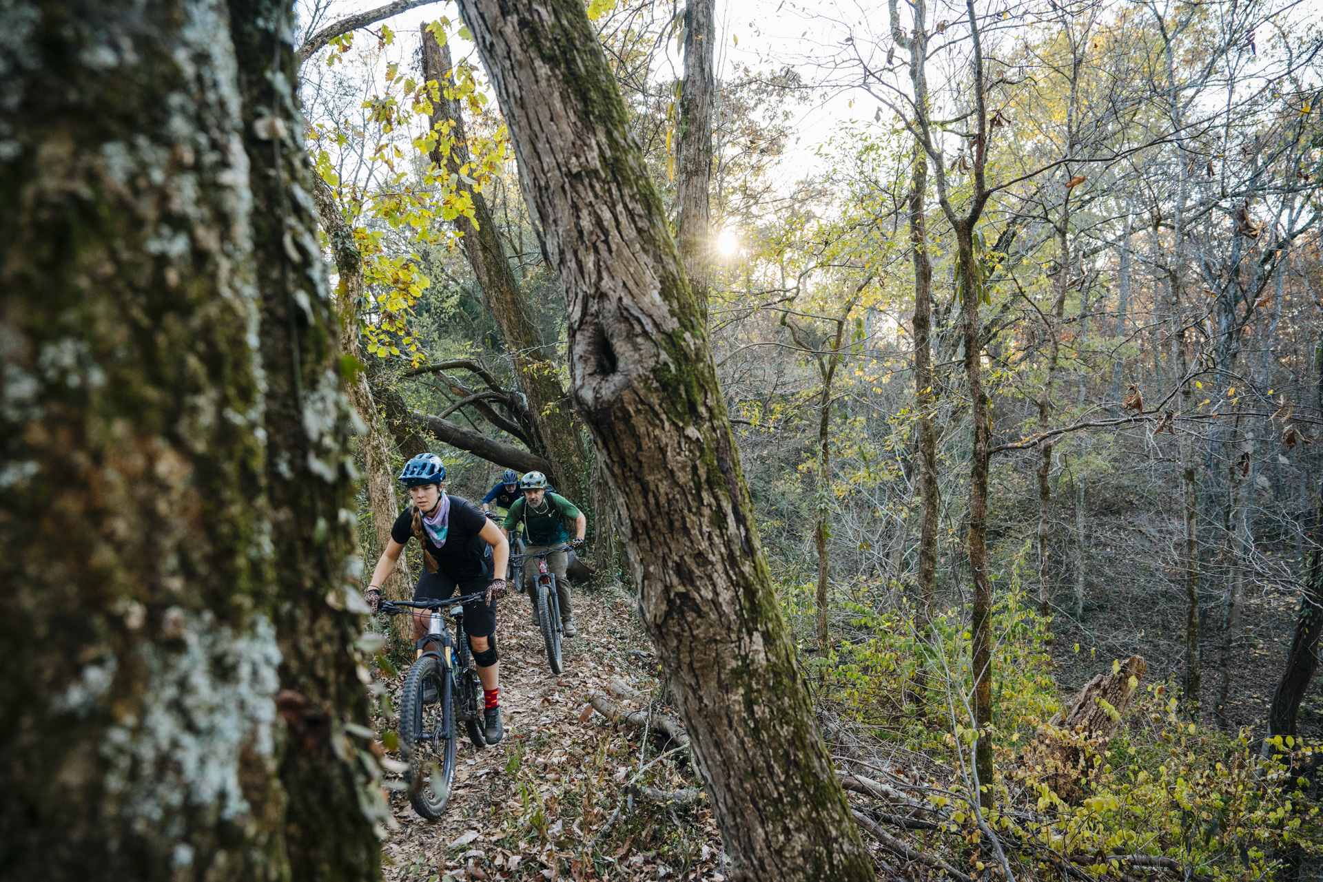 mountain biking through thick forest