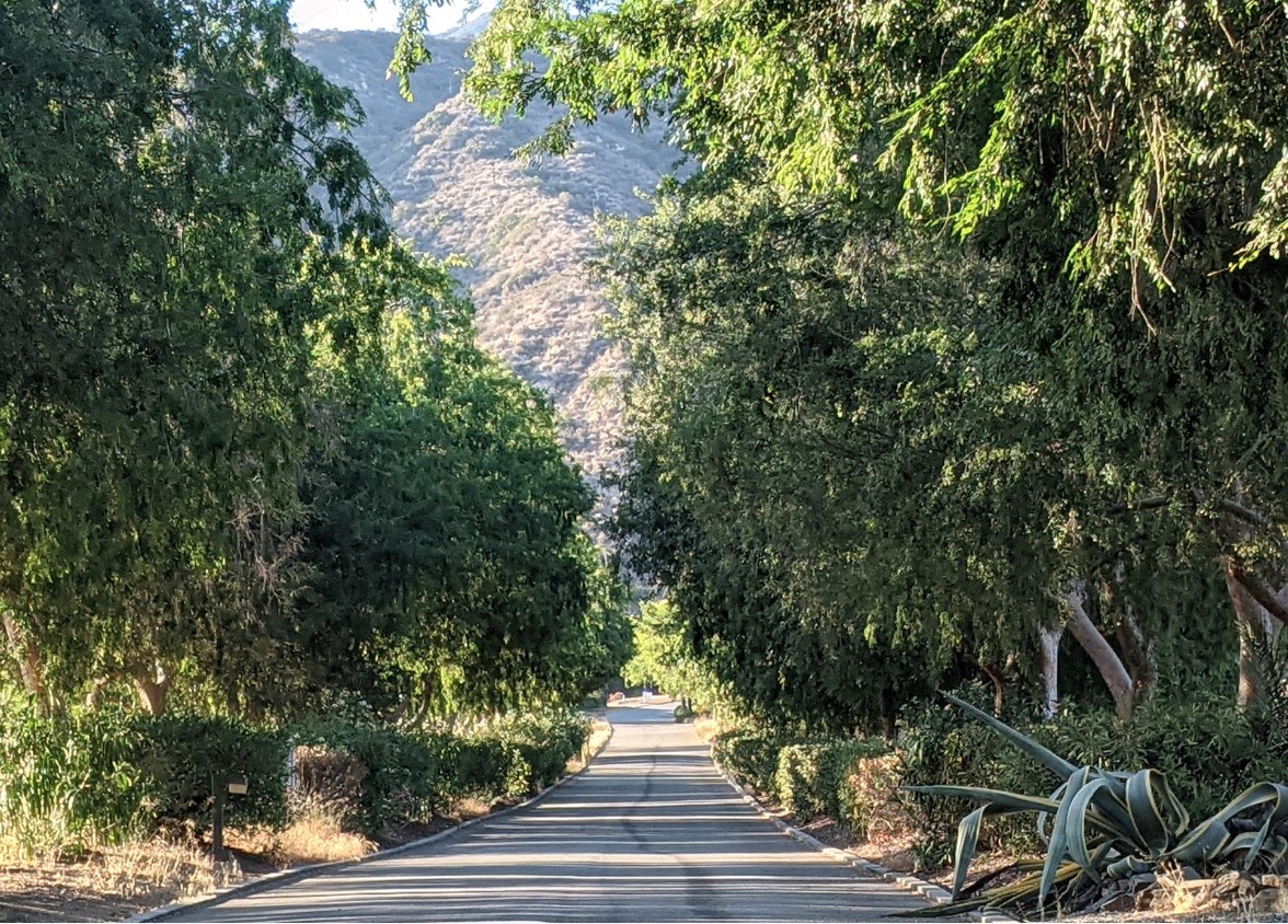 a road in Sierra Madre, Mexico